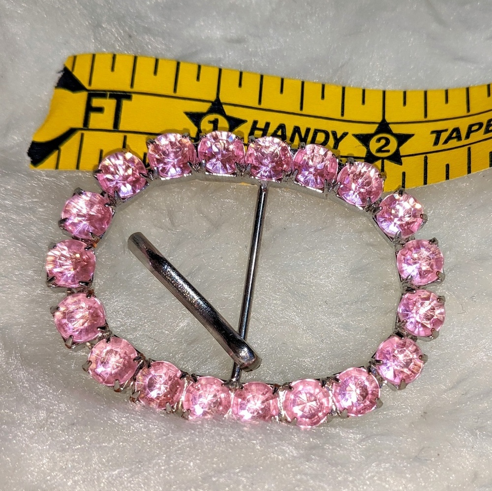 Jeweled Buckles - Picture 2 of 3